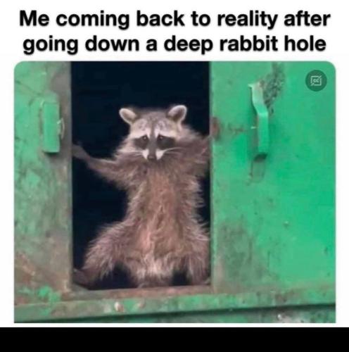 IMG_20230221_042905_615