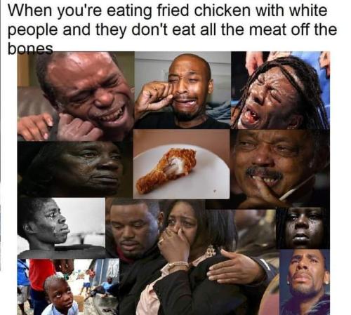 FB_IMG_1677530948665