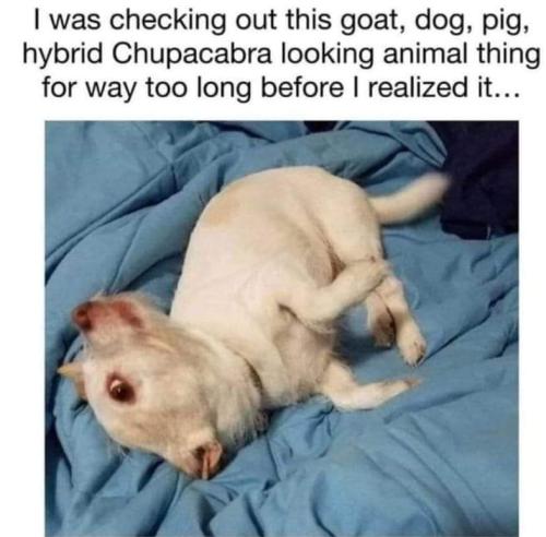 FB_IMG_1675378761439