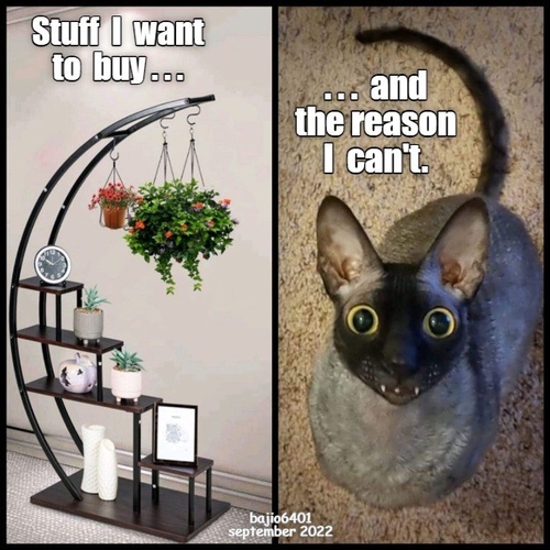 stuff I want to buy