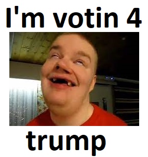 vote
