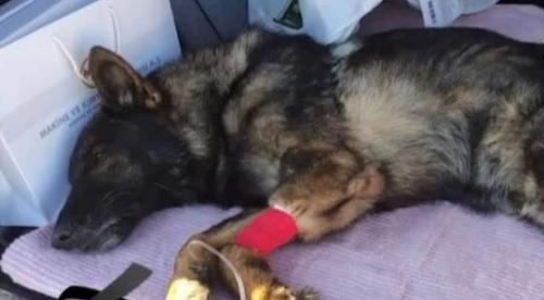 10:46:04 GMT-0600 (CST)