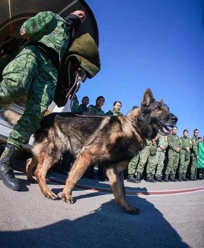 10:46:04 GMT-0600 (CST)