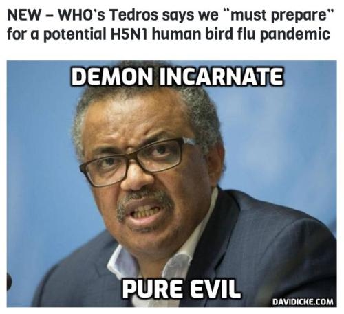 photo_2023-02-10_21-18-54