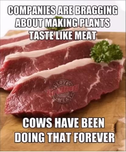 meat