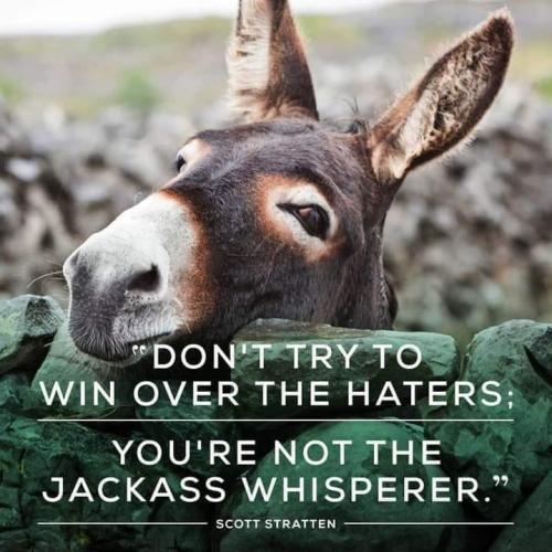 327746456_499941732221830_7192973012116659198_n