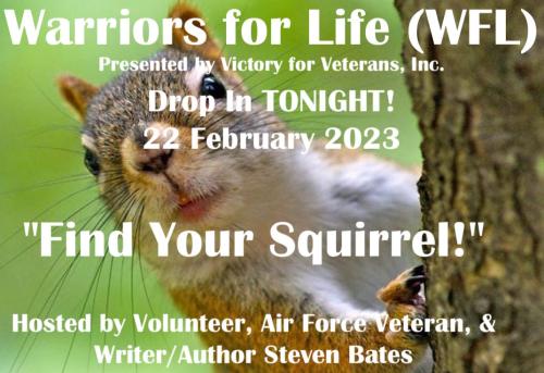 1-Find Your Squirrel