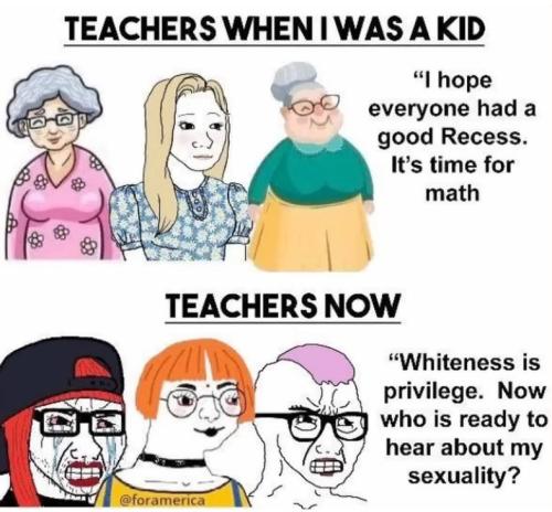 teachers