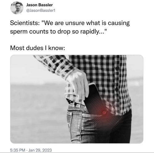 photo_2023-02-06_23-10-30