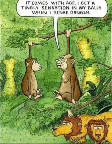 FB_IMG_1677280140662