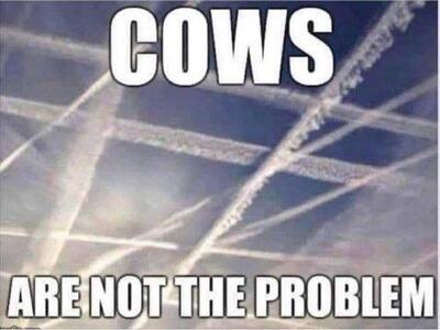 Chemtrails not Cows