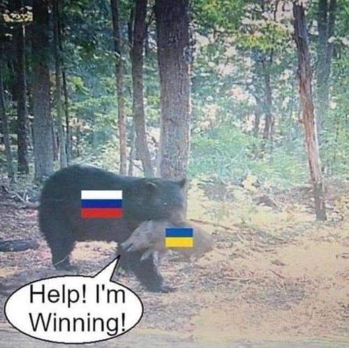 FB_IMG_1677265021061