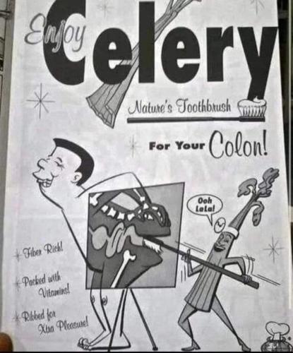 FB_IMG_1677279847352