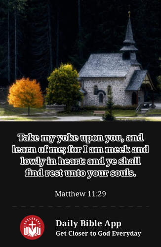 2023-02-061675709685851