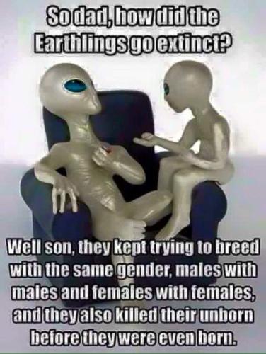 FB_IMG_1609341273752