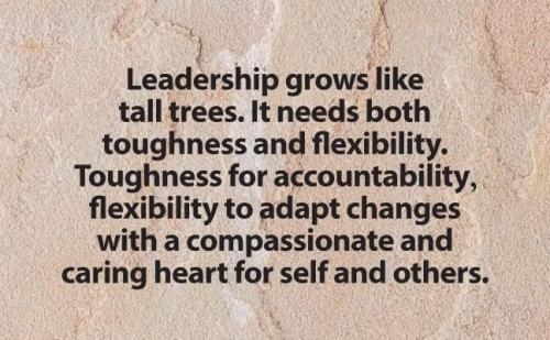 1-Leadership and Tall Trees