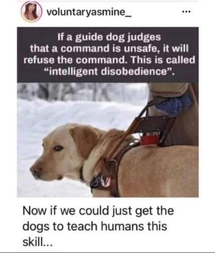 18:26:54 GMT-0500 (EST)