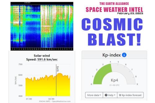 51cCp52jAWL._AC_AC_SR98,95_