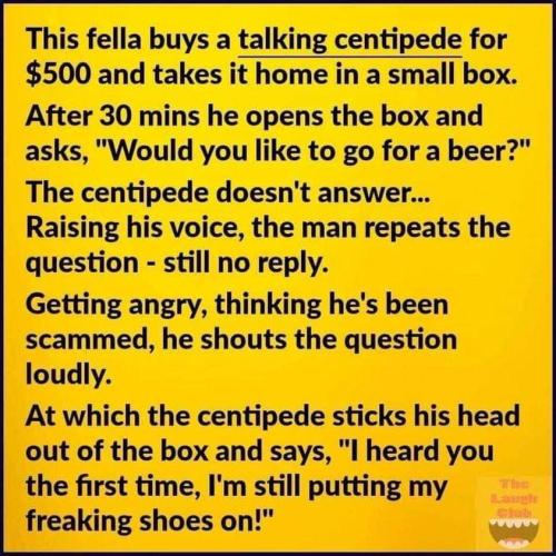 talking centipede