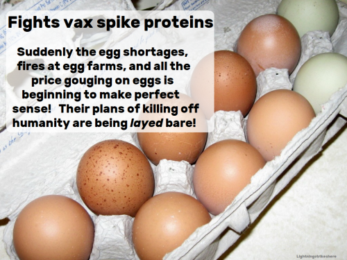 Eggs and spike proteins covid