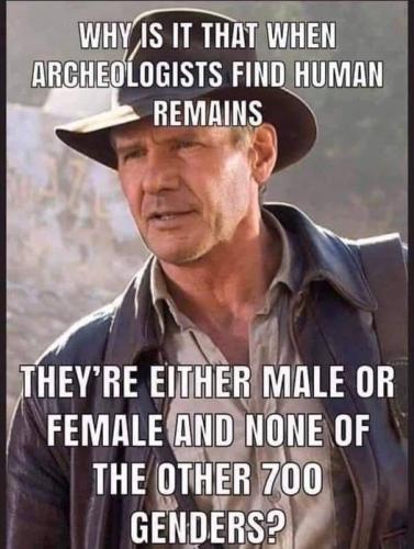 78707663_2465770050345284_7467085722550272000_n