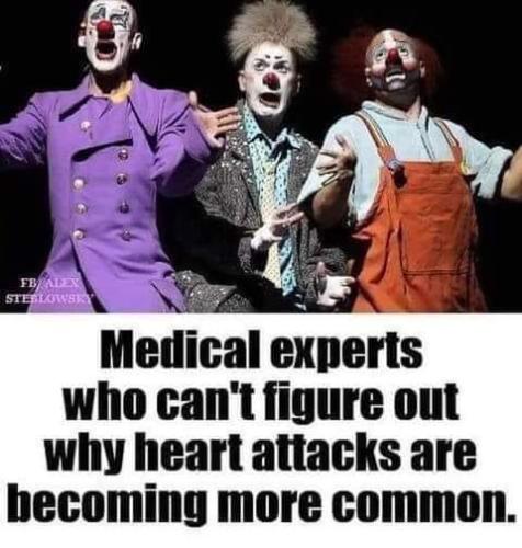 FB_IMG_1676909107796