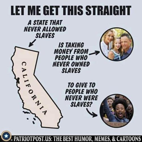 FB_IMG_1677010299293