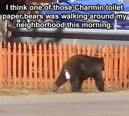 FB_IMG_1677081122263