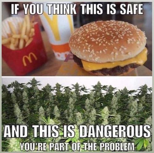 329563769_3597971503769616_3093736881929919136_n