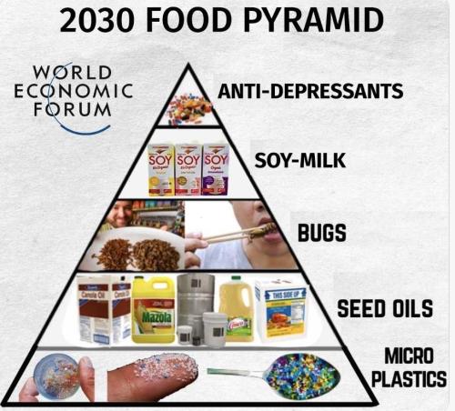 cf18fa59-6eb1-42ab-a455-cd65ddc0fb36