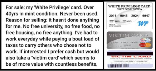 photo_2023-02-09_19-01-04