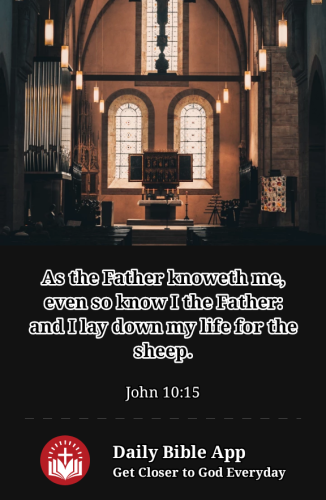 2023-02-071675813971484