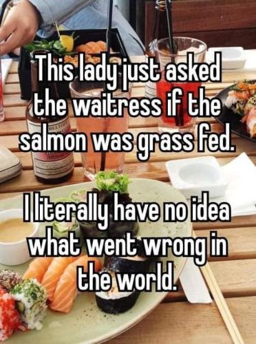 grass fed salmon