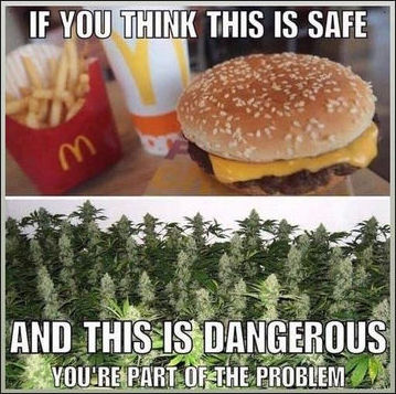 McD's41