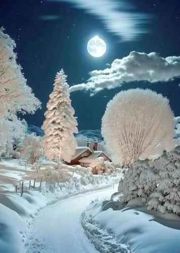 White winter evening