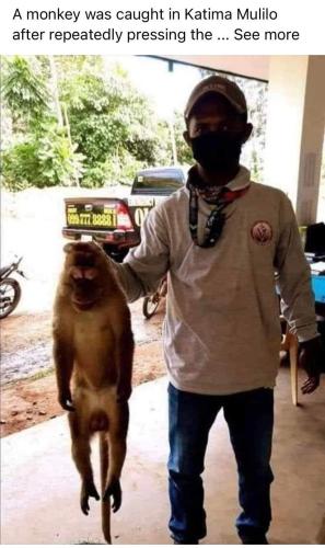 FB_IMG_1677262474972