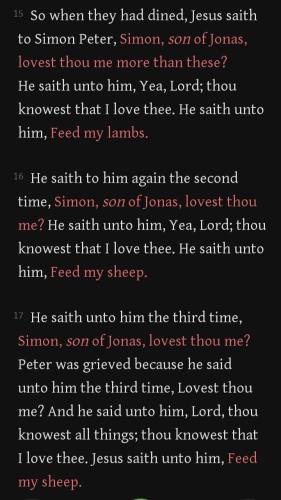 Screenshot_20230205-220805_ King James Bible