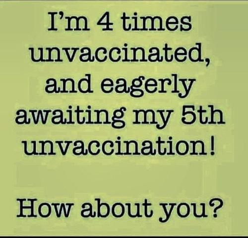 IMG_20230210_115634_279