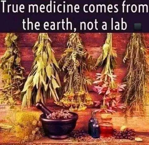 IMG_20230209_235518_038