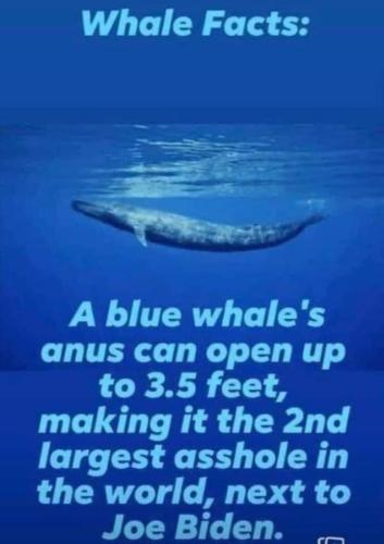 FB_IMG_1676129022703