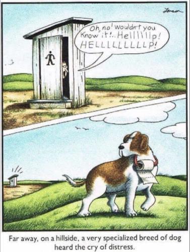 4C4354A8-03F8-4130-A91E-8B37C9F71DC5