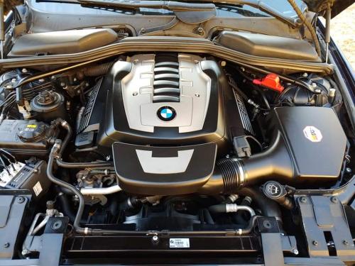 FB_IMG_1677358640555