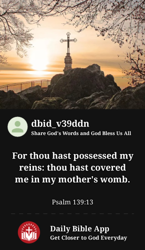 2023-02-271677551063520