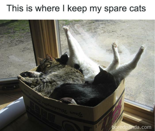 Screenshot_2023-02-25-13-25-36_kindlephoto-8296846