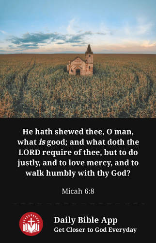 2023-02-021675388104029