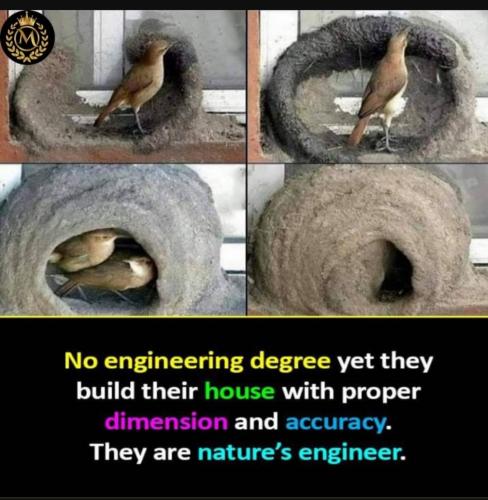 Screenshot_20230214_222046_YouTube