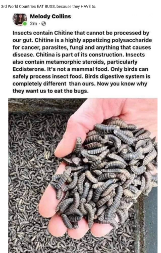 Screenshot_2023-02-05-15-46-31_kindlephoto-1367348