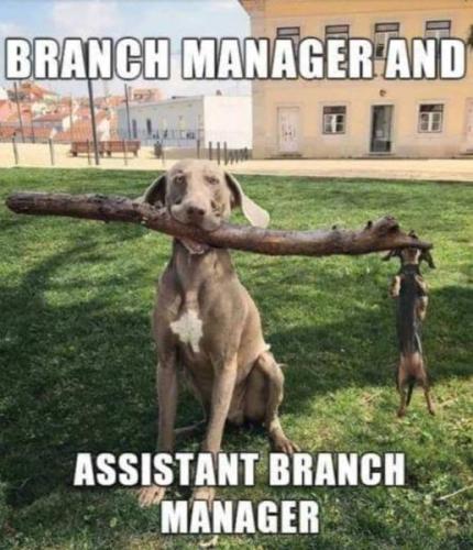 331873590_729582778742716_2883498120636268790_n