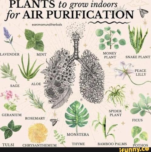 9d5e1fc7-f907-4eb5-9917-0d62aff7df5c