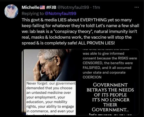 Gov 1